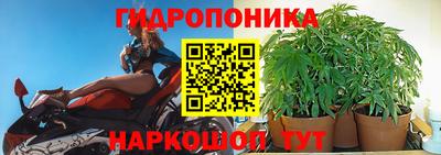 мяу мяу мука Бугуруслан