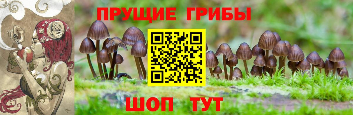 купить наркотики цена  Псилоцибиновые грибы ЛСД  Вход с VPN  Бузулук  Галлюциногенные грибы Cubensis 